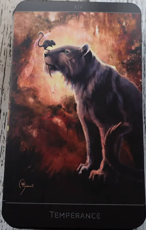 The Lost Forest Tarot